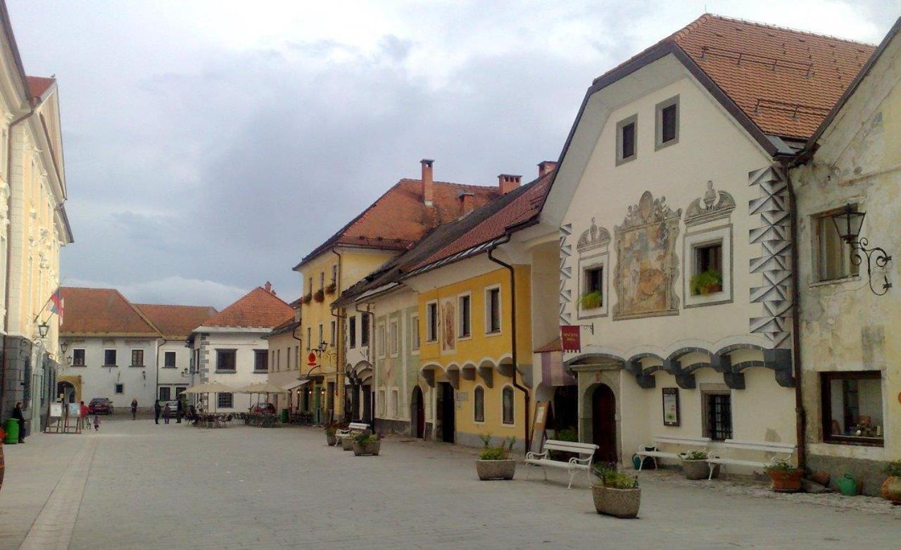 Life Hostel Slovenia Радовлиця Екстер'єр фото